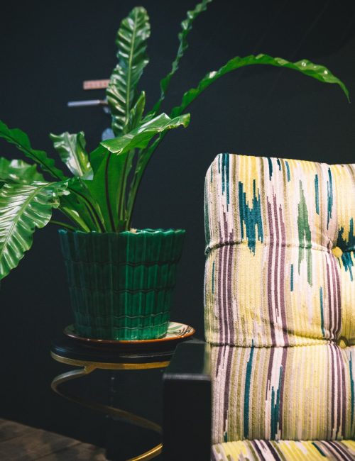 sabine-kley-photography-archi-arbre-voyageur-detail-fauteuil