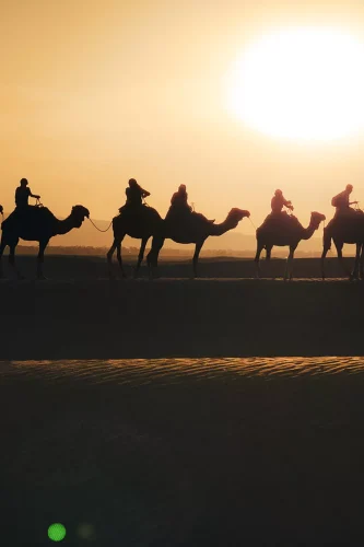 sabinekley-voyage-maroc-excursion-haut-atlas-desert-zagora-que-faire-sunset-1