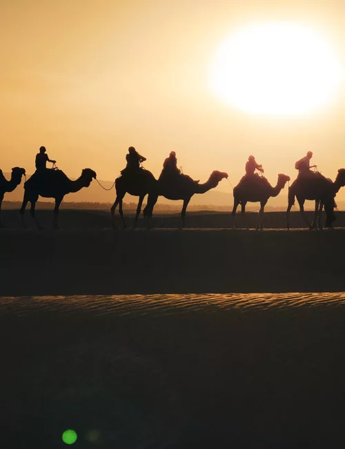 sabinekley-voyage-maroc-excursion-haut-atlas-desert-zagora-que-faire-sunset-1