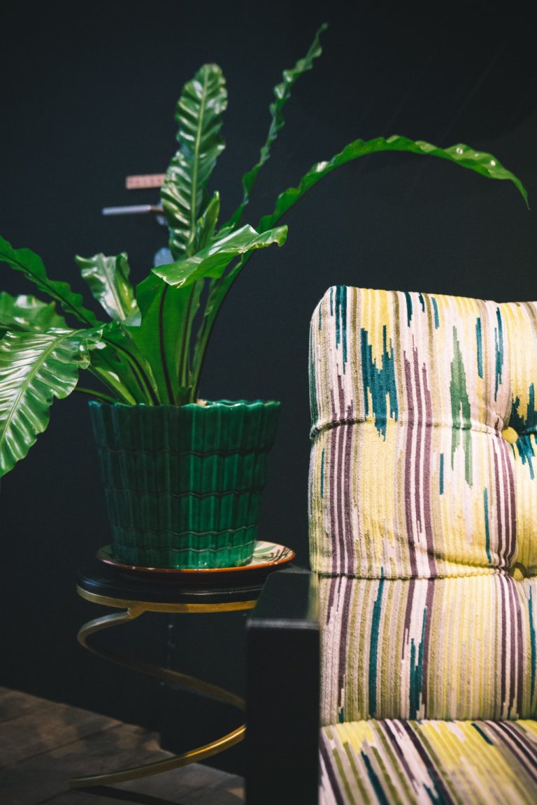 sabine-kley-photography-archi-arbre-voyageur-detail-fauteuil